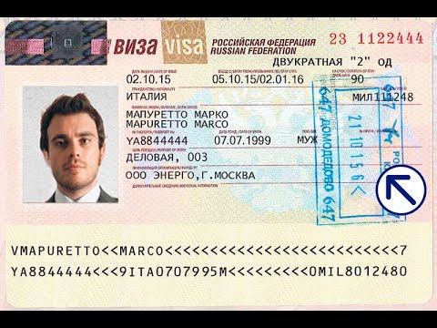 Sample Visa