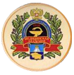 stavropol-state-medical-university-logo